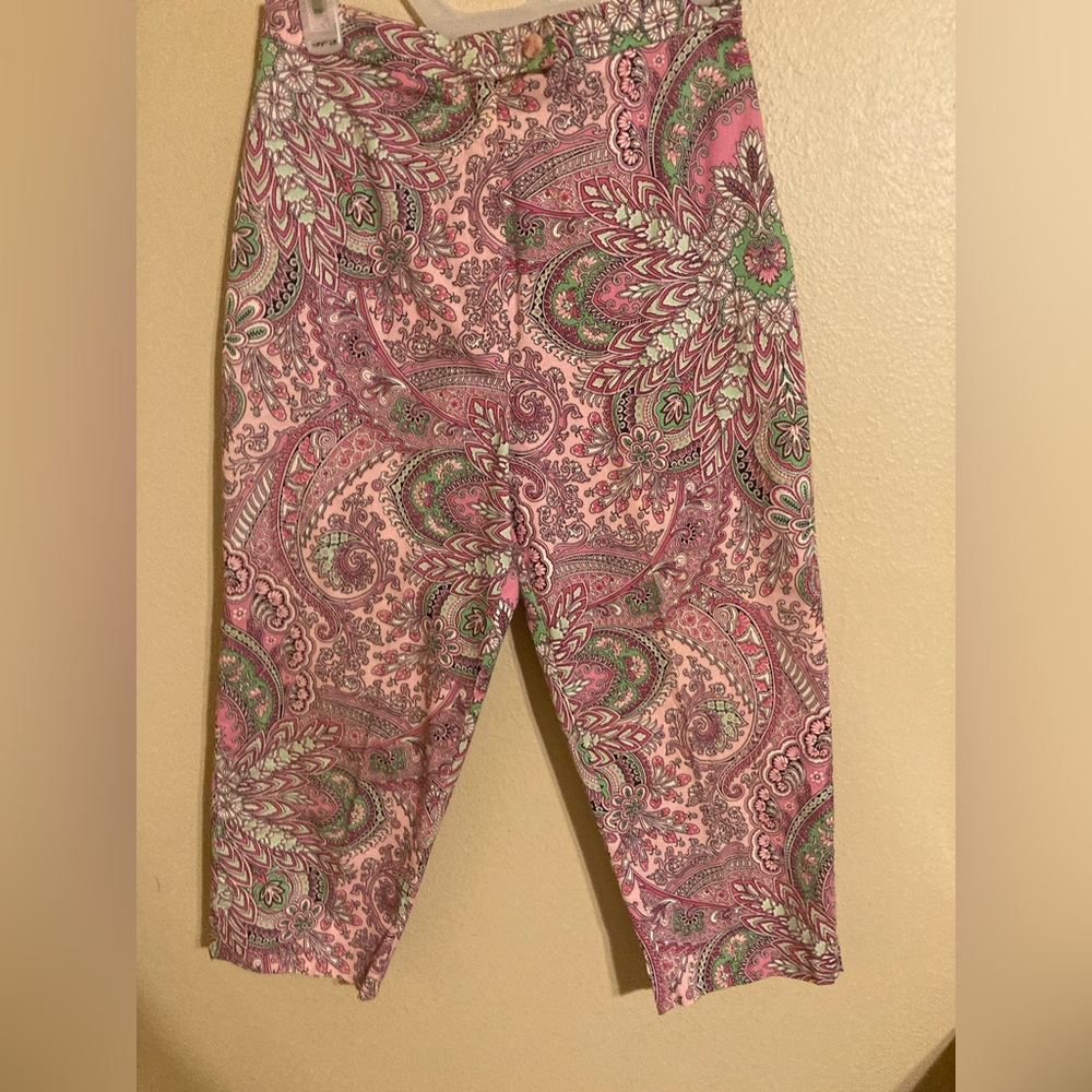 Vintage Briggs NY Capris, Size 8